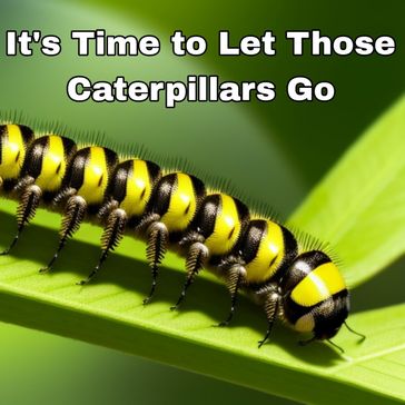 It's Time to Let Those Caterpillars Go - Robert Mckey