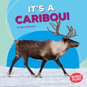 It s a Caribou!