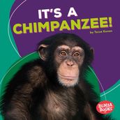 It s a Chimpanzee!