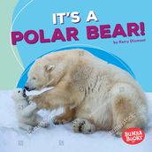 It s a Polar Bear!