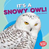 It s a Snowy Owl!