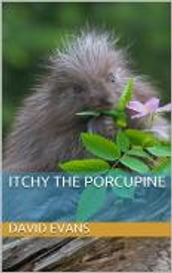Itchy The Porcupine