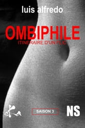 Itinéraire d un flic - OMBIPHILE - Saison 3/01