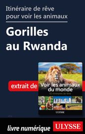 Itinéraire de rêve pour voir les animaux - Gorilles au Rwanda