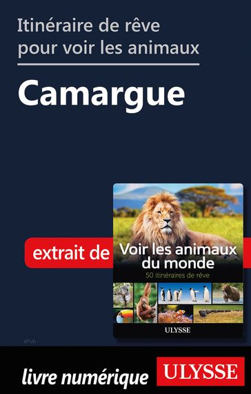 Itinéraire de rêve pour voir les animaux - Camargue - Ariane Arpin-delorme