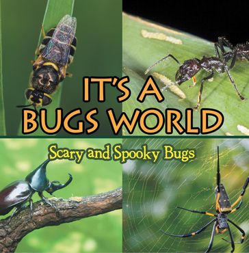Its A Bugs World: Scary and Spooky Bugs - Baby Professor