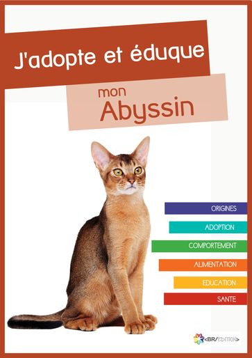 J'adopte et éduque mon Abyssin - Rue du Chat