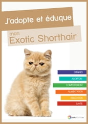 J adopte et éduque mon Exotic Shorthair