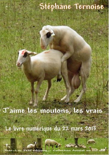 J'aime les moutons, les vrais - Stéphane Ternoise