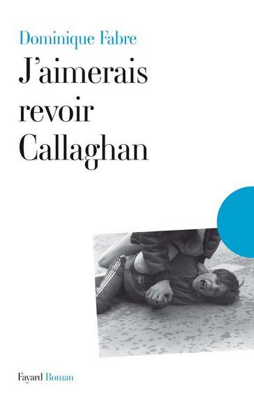 J'aimerais revoir Callaghan - Dominique Fabre