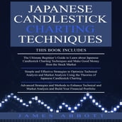 JAPANESE CANDLESTICK CHARTING TECHNIQUES