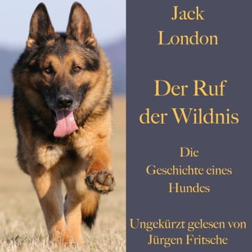 Jack London: Der Ruf der Wildnis. Die Geschichte eines Hundes - Jack London - Jurgen Fritsche