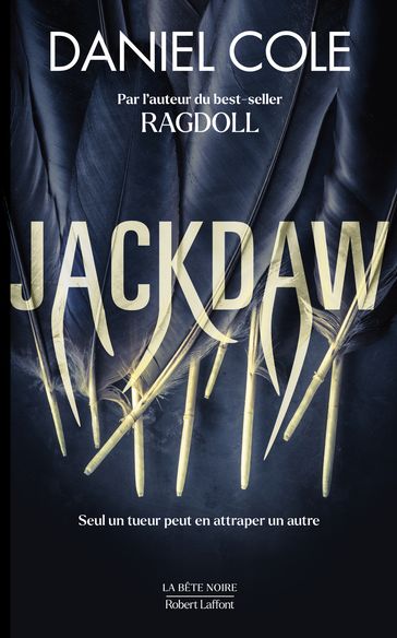 Jackdaw - Daniel Cole