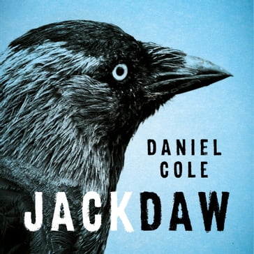 Jackdaw - Daniel Cole