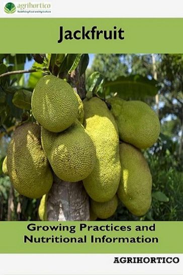 Jackfruit: Growing Practices and Nutritional Information - Agrihortico CPL