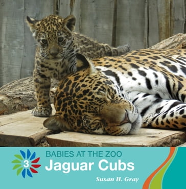 Jaguar Cubs - Susan H. Gray