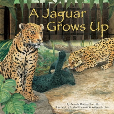 Jaguar Grows Up, A - Amanda Doering Tourville