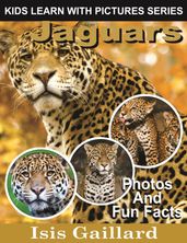 Jaguars Photos and Fun Facts for Kids