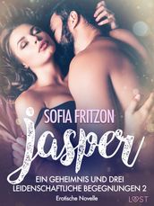 Jasper Geheimnisse und leidenschaftliche Begegnungen 2 - Erotische Novelle