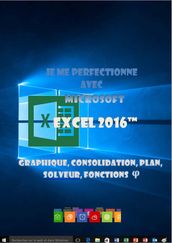 Je me perfectionne avec Excel 2016 - Graphique, consolidation, plan