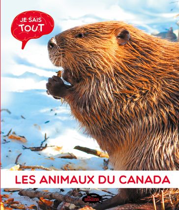 Je sais tout: Les animaux du Canada - Jessica Lupien