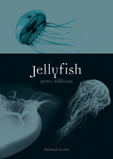 Jellyfish - Peter Williams