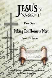 Jesus of Nazareth: Poking the Hornets  Nest