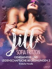 Jill Geheimnisse und leidenschaftliche Begegnungen 3 - Erotische Novelle