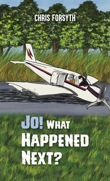 Jo! What Happened Next? - Chris Forsyth