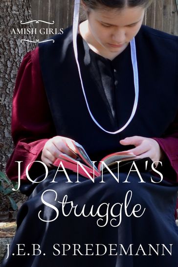 Joanna's Struggle (Amish Girls Series - Book 1) - J.E.B. Spredemann