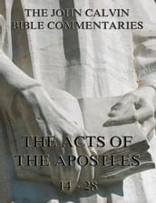 John Calvin s Commentaries On The Acts Vol. 2