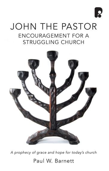 John the Pastor: Encouragement for a Struggling Church - Paul Barnett