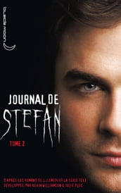 Journal de Stefan 2