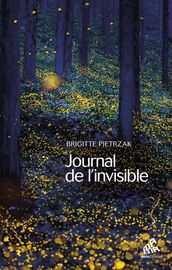 Journal de l invisible