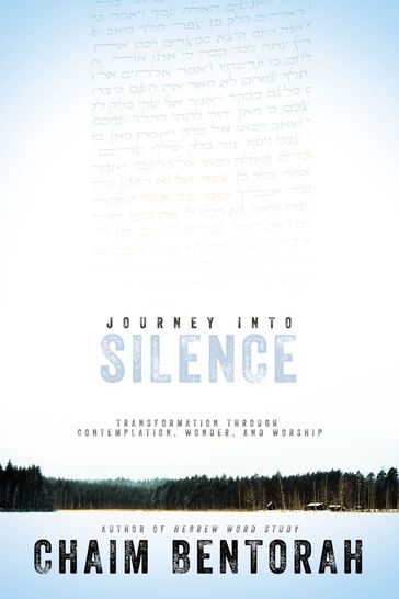 Journey into Silence - Chaim Bentorah