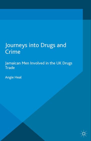Journeys into Drugs and Crime - Angie Heal