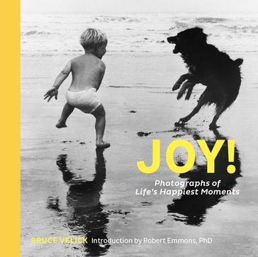 Joy! - Bruce Velick