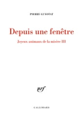 Joyeux animaux de la misère (Tome 3) - Depuis une fenêtre