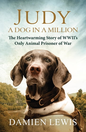 Judy: A Dog in a Million - Damien Lewis