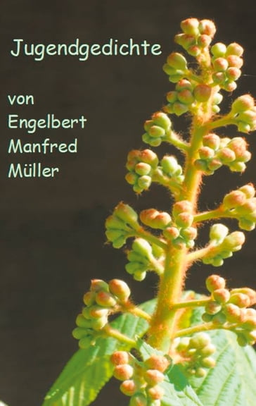Jugendgedichte - Engelbert Manfred Muller
