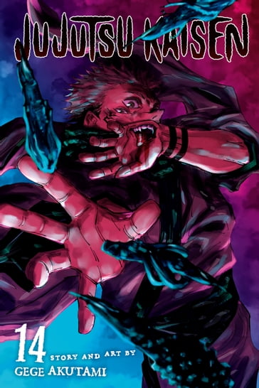 Jujutsu Kaisen, Vol. 14 - Gege Akutami