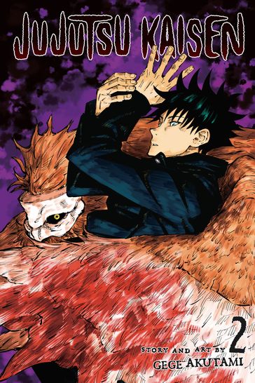 Jujutsu Kaisen, Vol. 2 - Gege Akutami