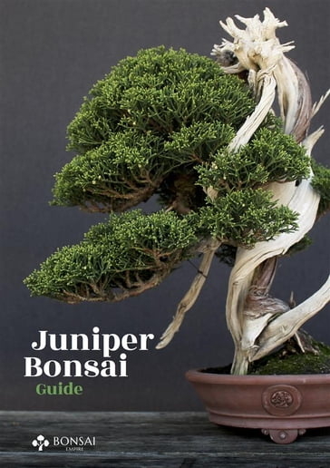 Juniper Bonsai Guide - Bonsai Empire
