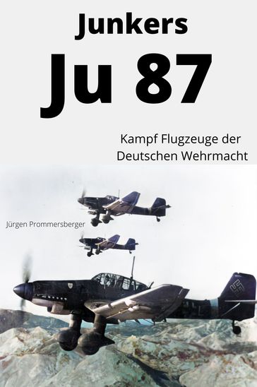 Junkers Ju 87 - Jurgen Prommersberger