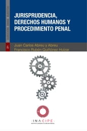 Jurisprudencia, derechos humanos y procedimiento penal