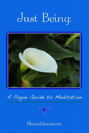 Just Being: A Pagan Guide to Meditation - Shanddaramon