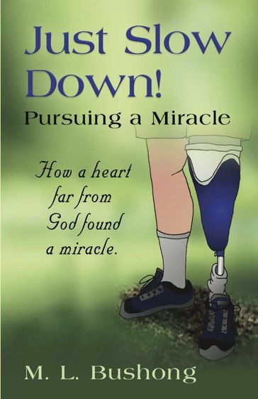 Just Slow Down! Pursuing a Miracle - M. L. Bushong