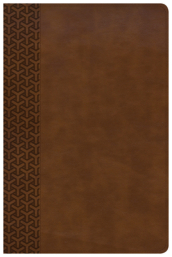 KJV Everyday Study Bible, British Tan LeatherTouch