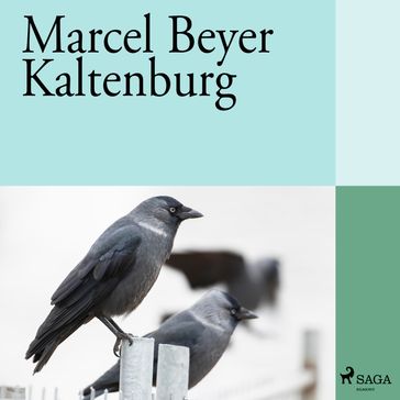 Kaltenburg - Marcel Beyer