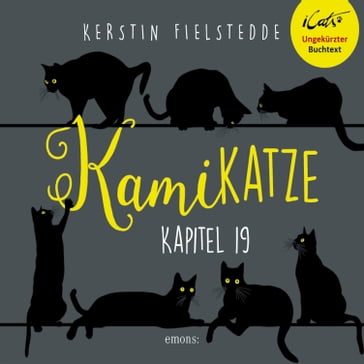 Kamikatze, Kapitel 19: Abgehört - Kerstin Fielstedde - Raphael Cheng - Burkhard Fincke